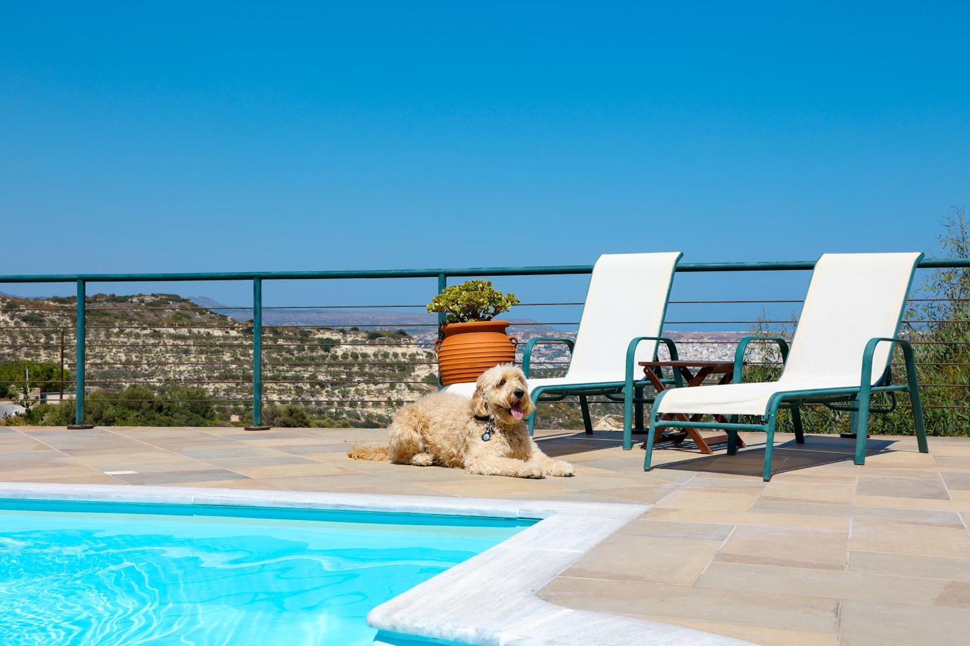 Roussa Village Sitia  Exterior photo